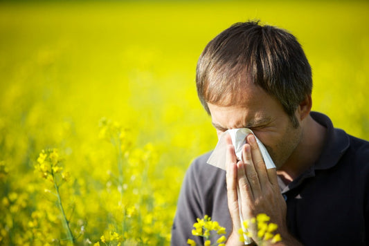 Science-backed herbal supplements for seasonal allergies.
