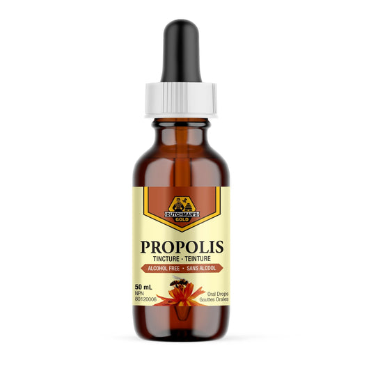 DUTCHMAN'S GOLD Propolis Tincture - Alcohol Free 50 ml